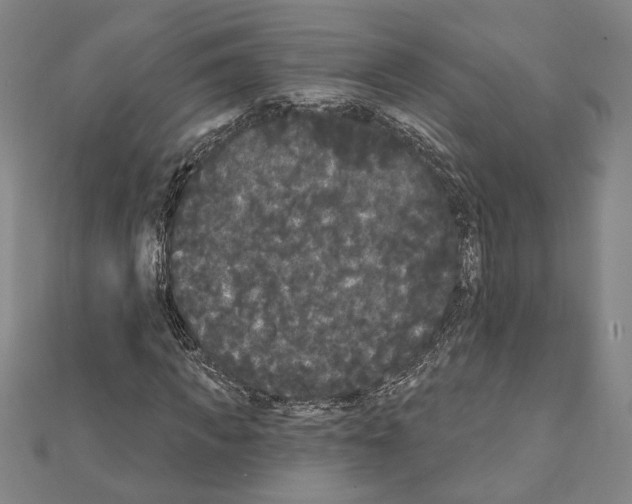X0000111460917200908241316