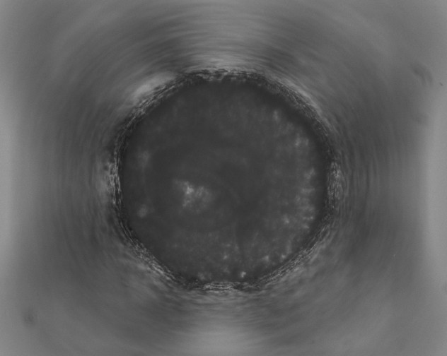 X0000111460918200908241316