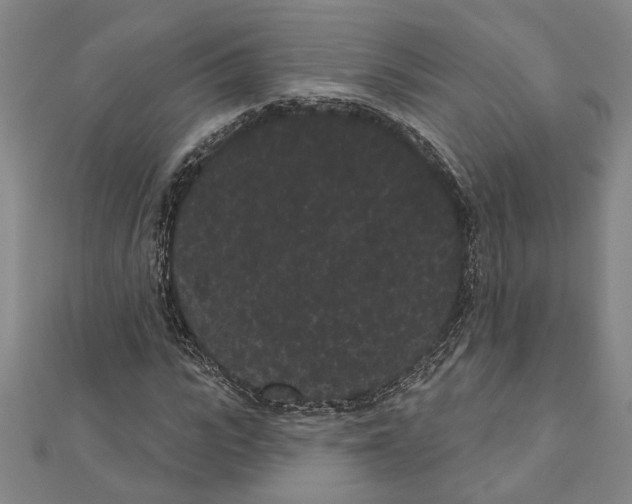 X0000111460919200908241316