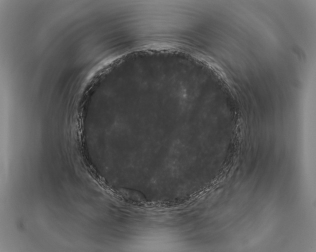 X0000111460920200908241316