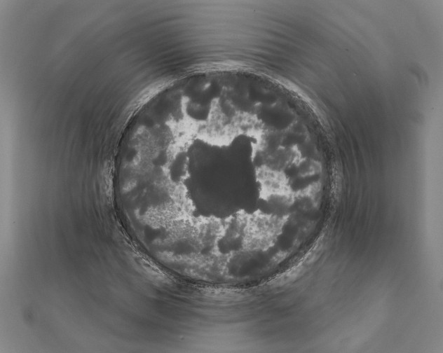 X0000111460921200908241316