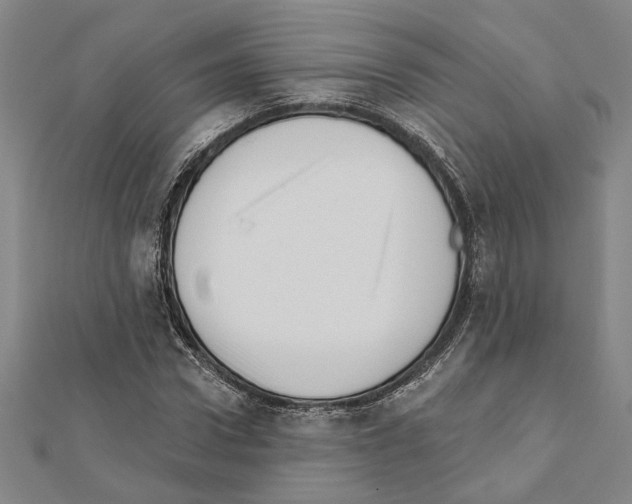 X0000111460922200908241316