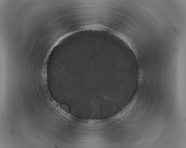 X0000111460923200908241316