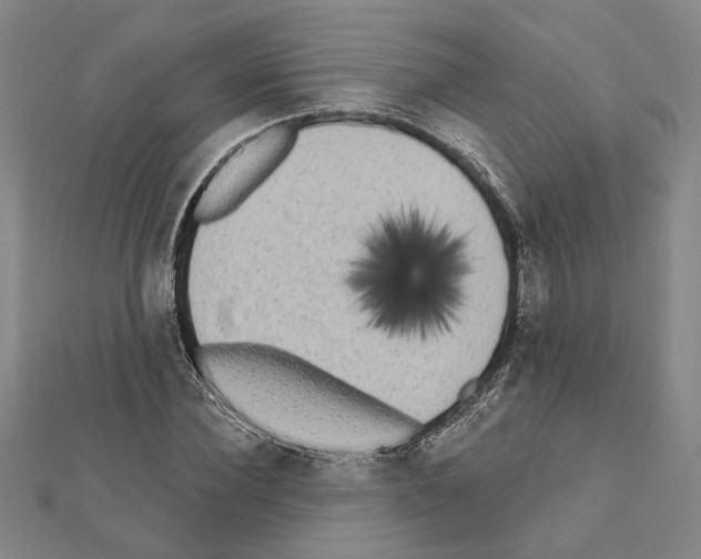 X0000111460924200908241316
