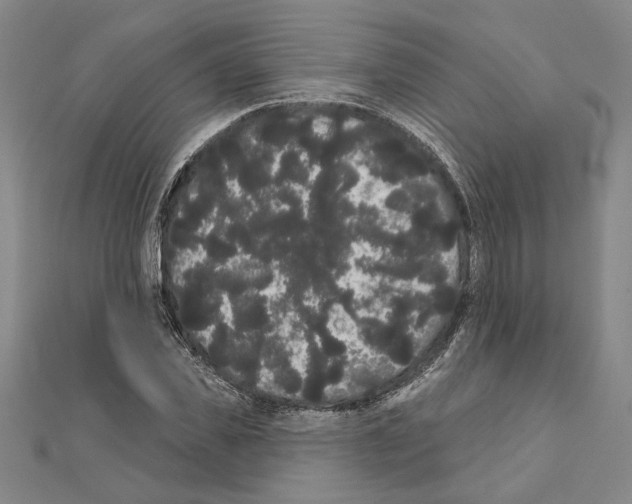 X0000111460925200908241316