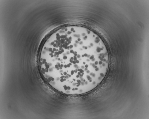 X0000111460928200908241316