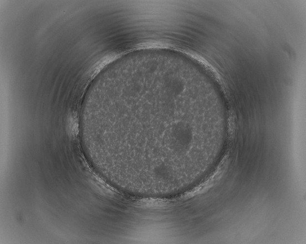 X0000111460929200908241316