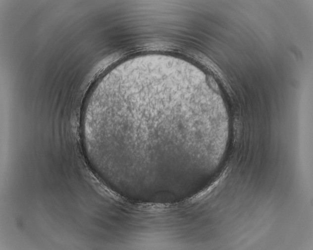 X0000111460930200908241316