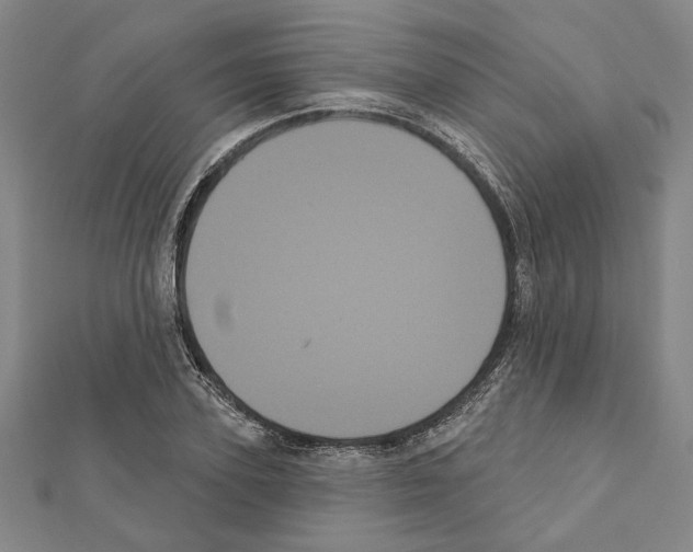 X0000111460931200908241316