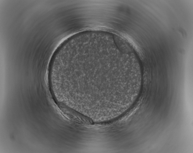 X0000111460932200908241316