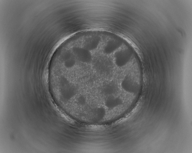 X0000111460933200908241316
