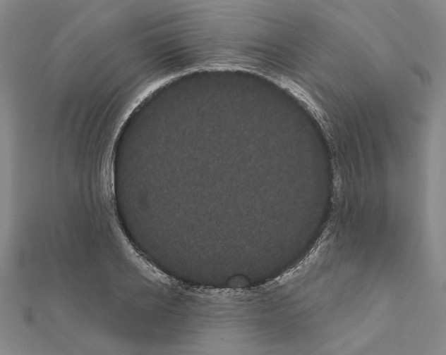 X0000111460934200908241316