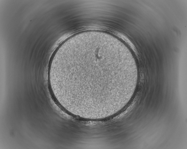 X0000111460938200908241316
