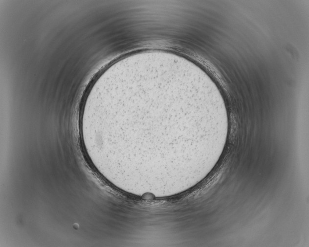 X0000111460939200908241316