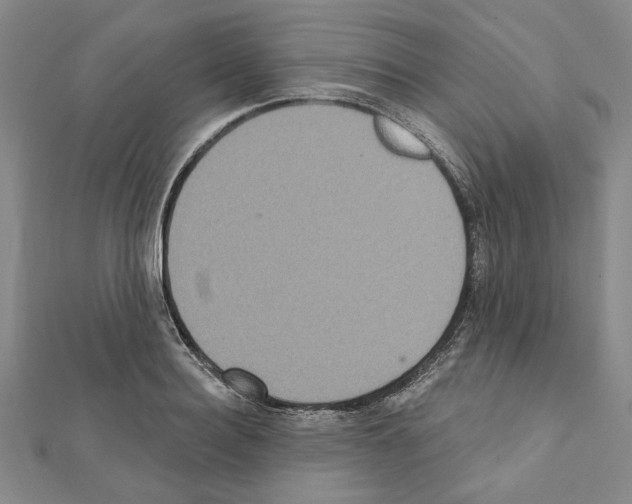 X0000111460940200908241316