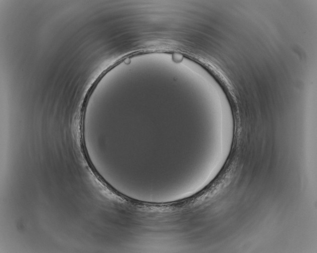 X0000111460941200908241316
