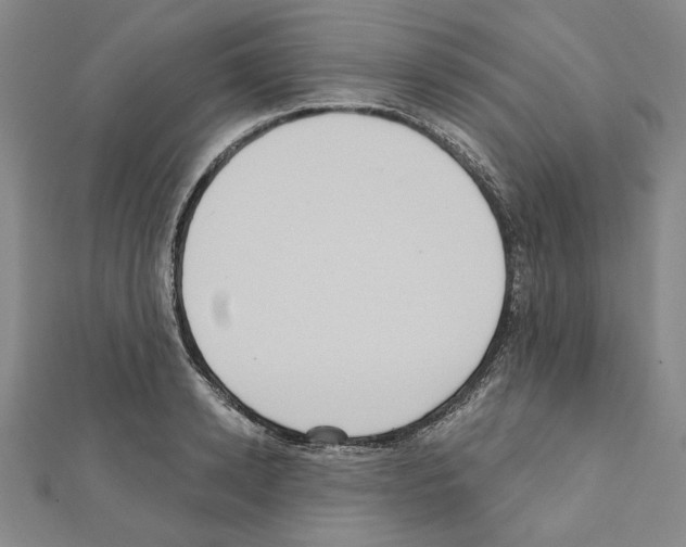X0000111460942200908241316