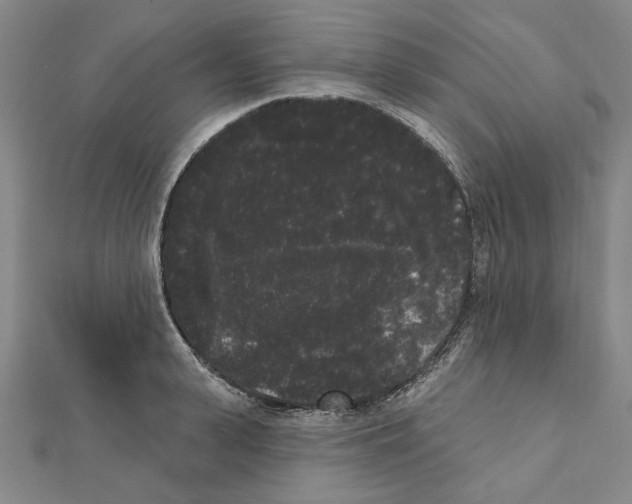X0000111460943200908241316