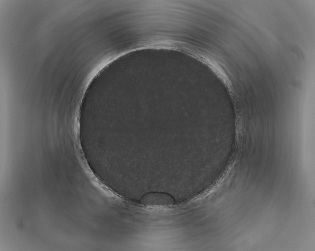 X0000111460944200908241316