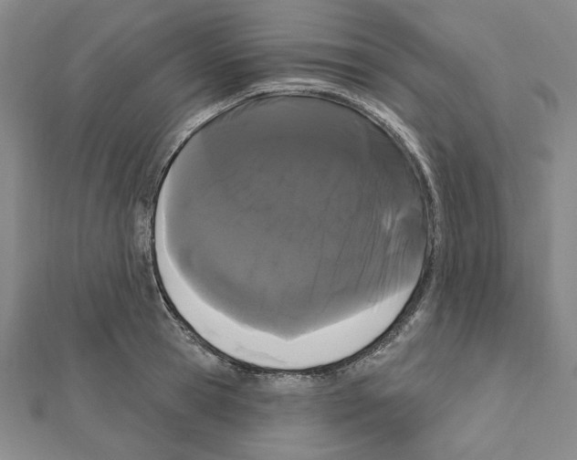 X0000111460945200908241316