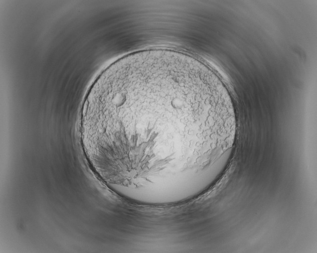 X0000111460948200908241316