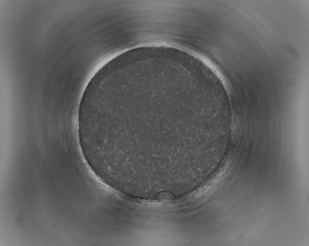 X0000111460951200908241316