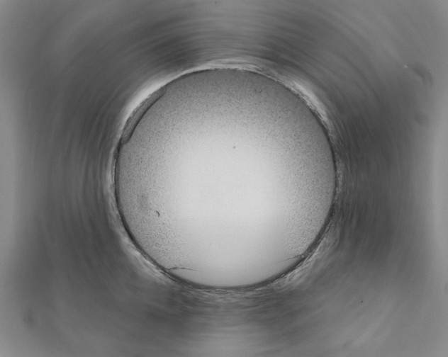 X0000111460952200908241316