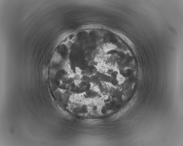 X0000111460953200908241317