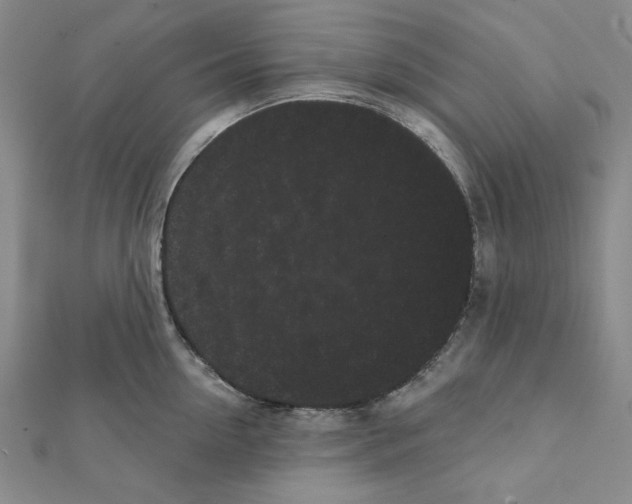 X0000111460954200908241317