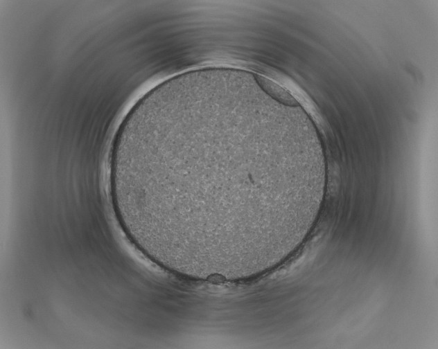 X0000111460955200908241317