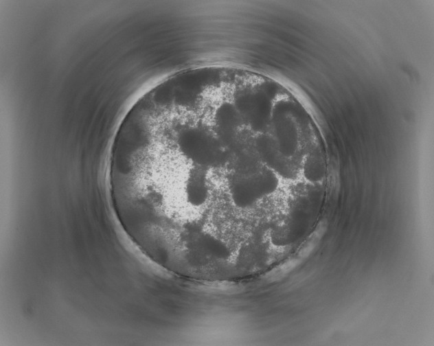 X0000111460957200908241317