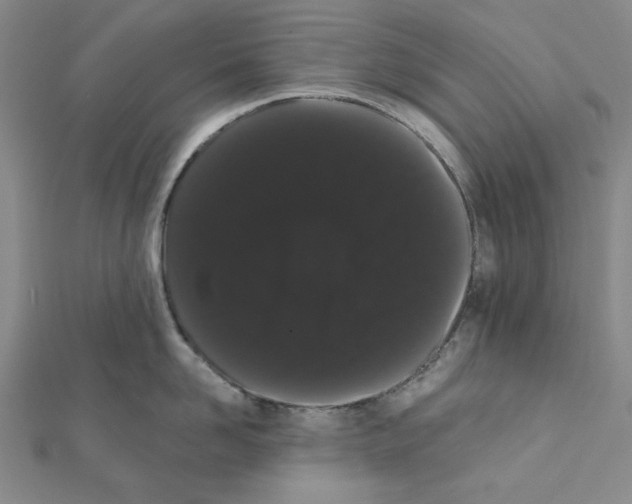 X0000111460958200908241317