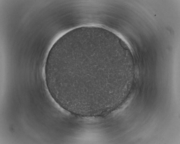 X0000111460959200908241317