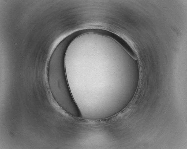 X0000111460960200908241317