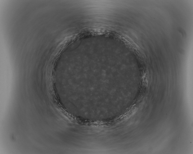 X0000111460961200908241316