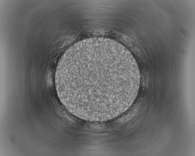 X0000111460962200908241316