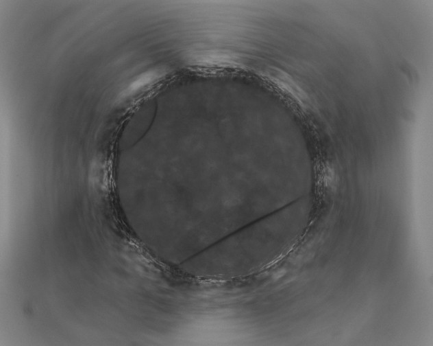 X0000111460965200908241316