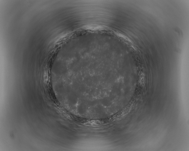 X0000111460966200908241316