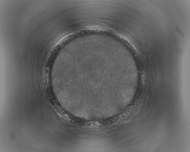 X0000111460968200908241316