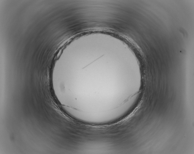 X0000111460969200908241316
