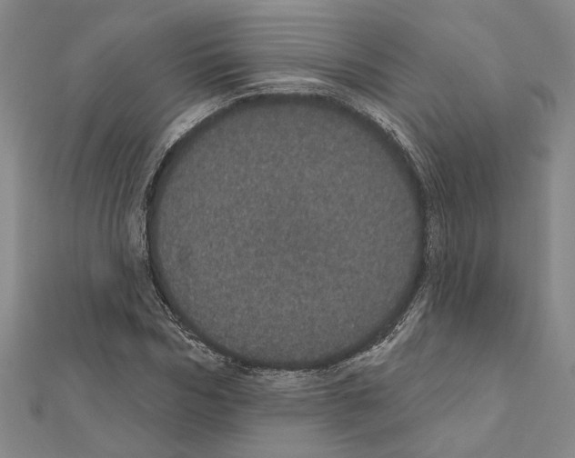 X0000111460970200908241316