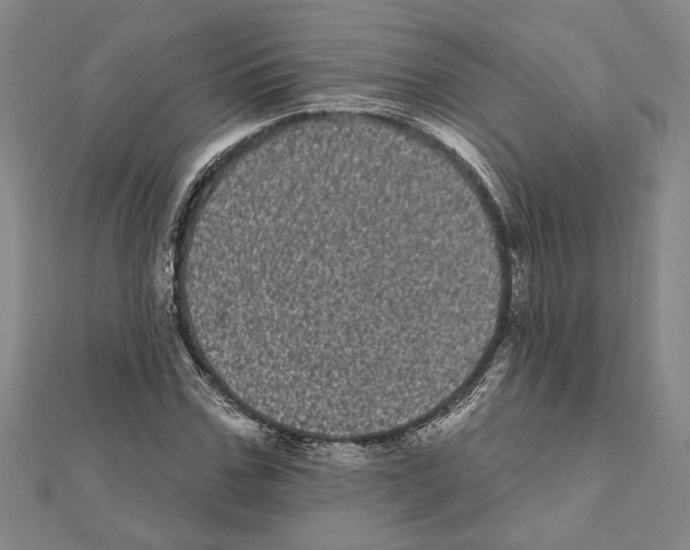 X0000111460971200908241316