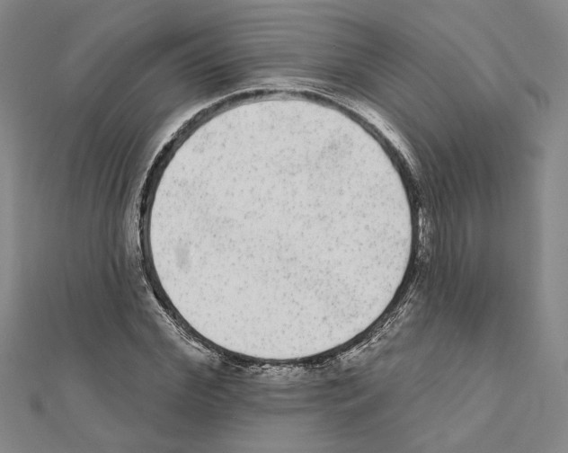 X0000111460972200908241316
