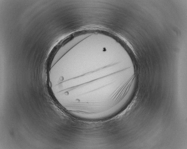 X0000111460973200908241316