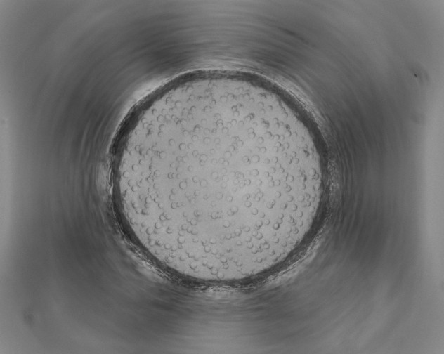 X0000111460974200908241316