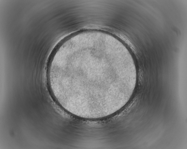 X0000111460976200908241316