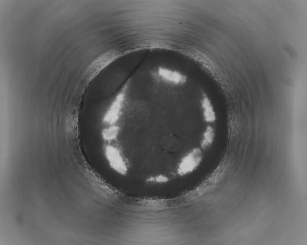 X0000111460977200908241316
