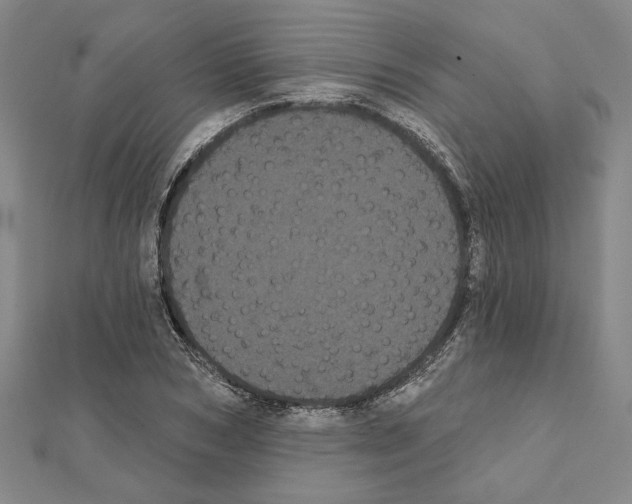 X0000111460978200908241316