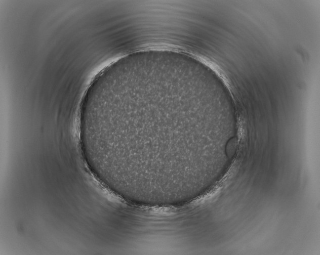 X0000111460979200908241316