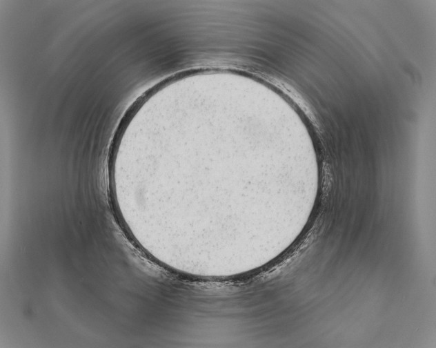 X0000111460980200908241316
